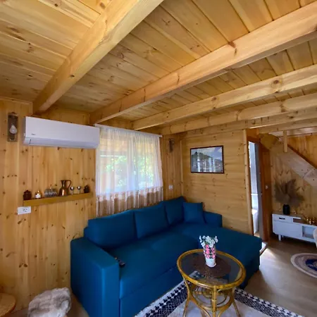 Wooden With Private Pool Konukevi