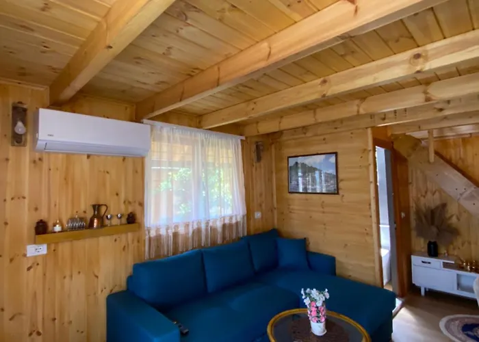 Wooden With Private Pool 게스트하우스