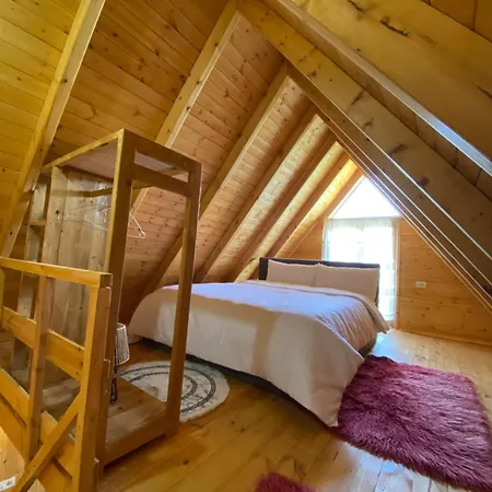 Wooden With Private Pool Gasthuis