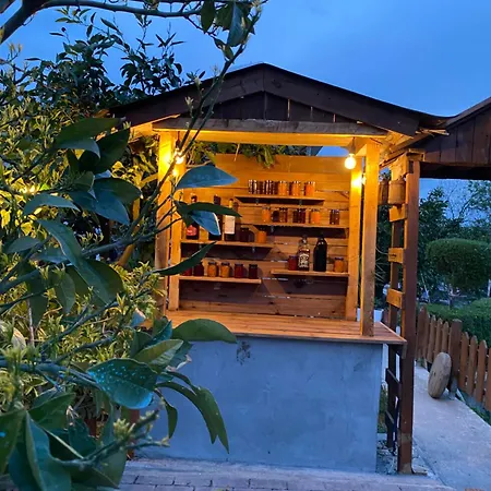 招待所 Wooden With Private Pool 3*