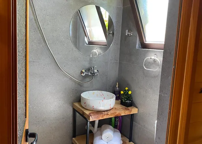 Wooden With Private Pool 3* 培拉特