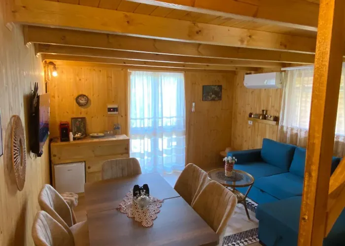 招待所 Wooden With Private Pool 培拉特