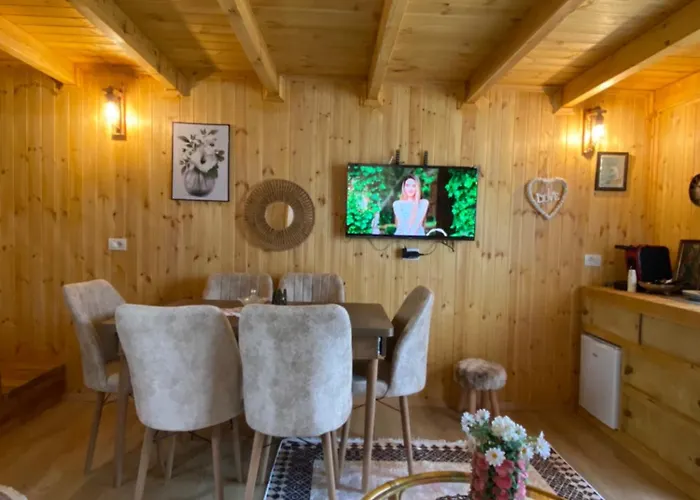 Wooden With Private Pool 3* 培拉特