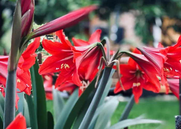Wooden With Private Pool 招待所 培拉特