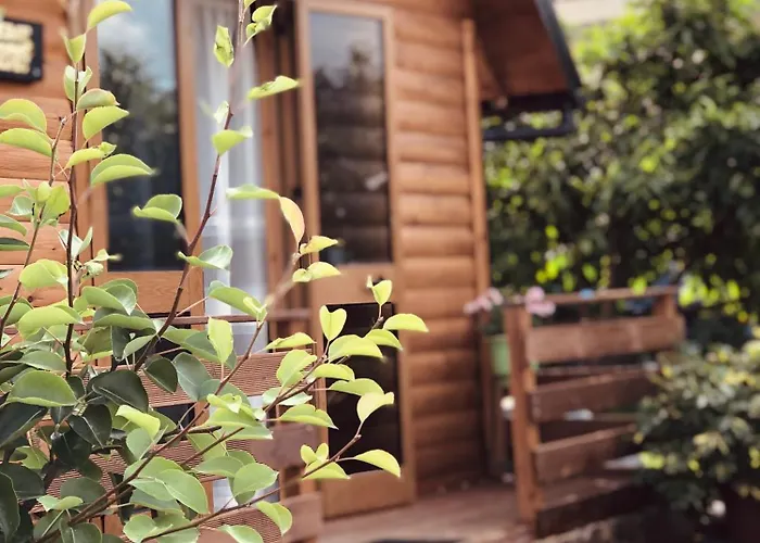 招待所 Wooden With Private Pool